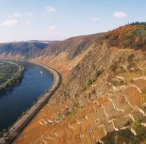 Winninger Steillagen oberhalb der Mosel