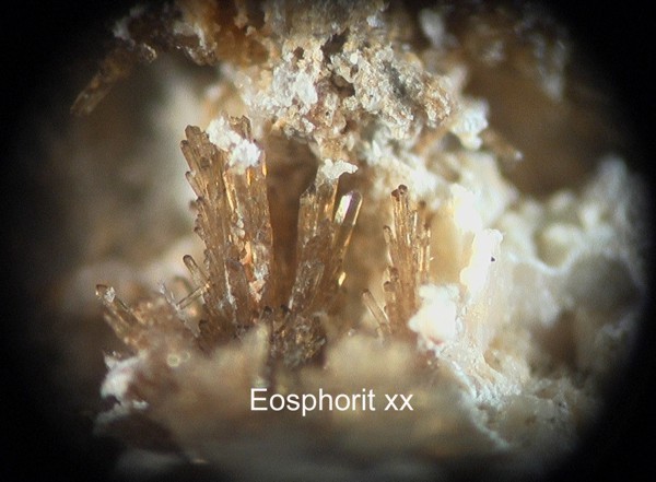 Eosphorit