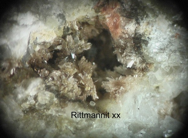 Rittmannit