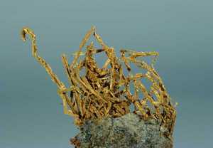 Gediegen Gold, Chile Gediegen Gold, Chile